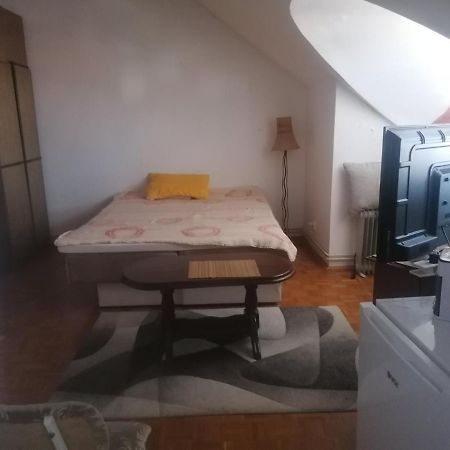 Apartmani Dacic Aleksinac Buitenkant foto