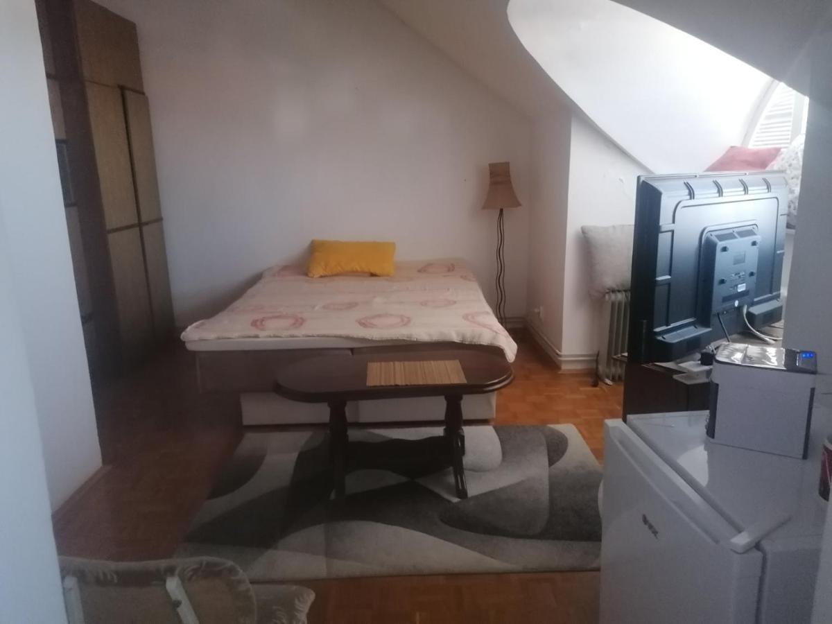 Apartmani Dacic Aleksinac Buitenkant foto